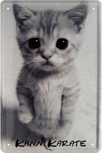 Blechschild " Karate Cat Süßes Kätzchen"