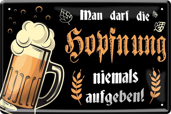 Blechschild Schild Ein Leben ohne Bier ist möglich ... 