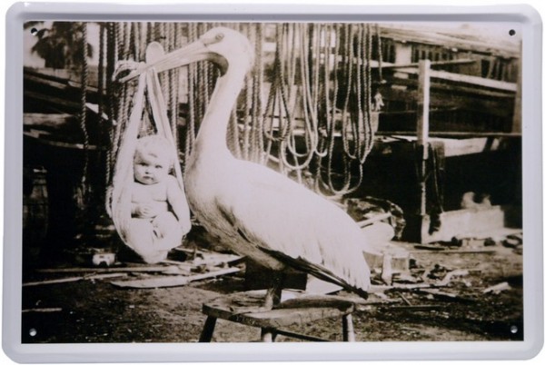 Blechschild "Pelikan bringt Baby Storch Kind"