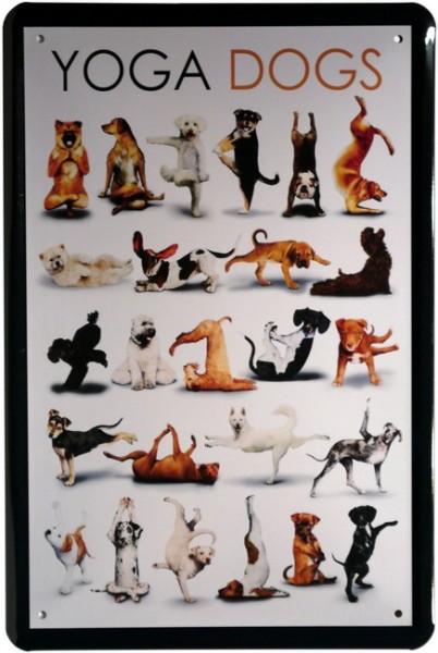 Blechschild "Yoga Dogs Hunde"