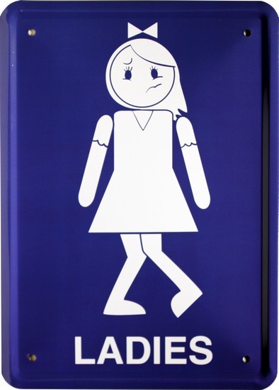 Blechschild 15 x 21 cm " Toilette Ladys Damen "
