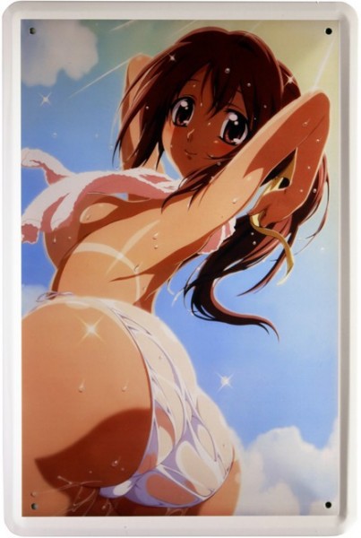 Blechschild Manga Anime Japan Comic Sexy Girl