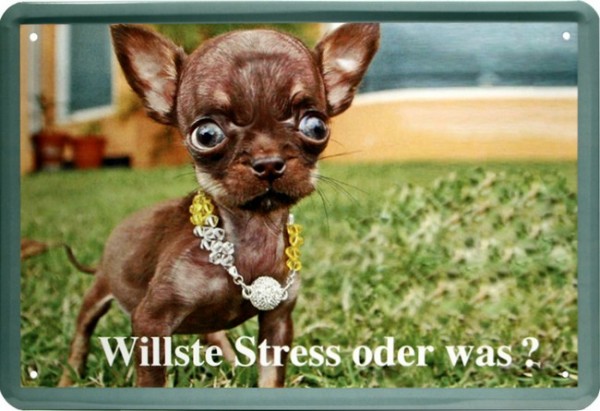 Blechschild " Hund mit Kette Willste Stress oder was "
