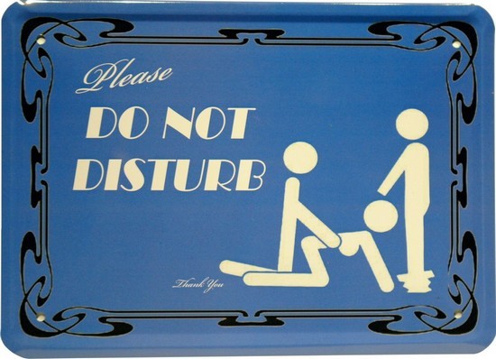 Blechschild 15 x 21 cm "Please do not disturb"